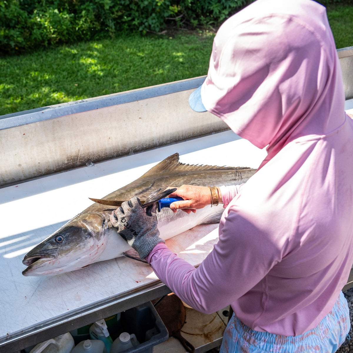 Pink Heather Samurai 2.0 Fishing Shirts For Women / AFTCO New