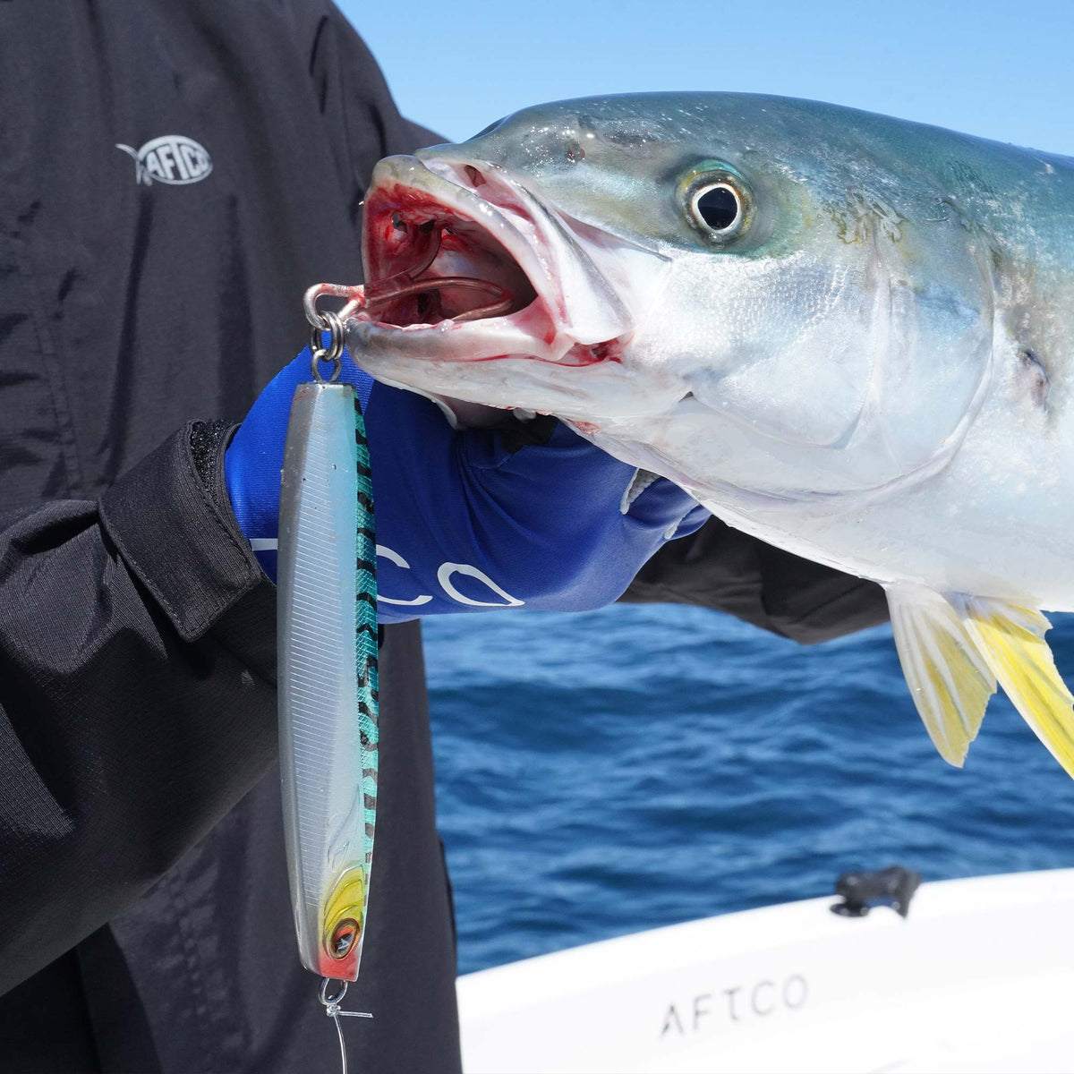 Blue Pink Blue Fever Hybrid / AFTCO Latest