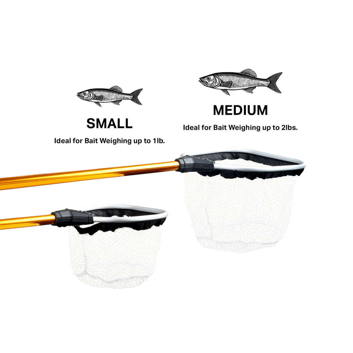 Gold Gold Series Bait Nets - AFTCO / AFTCO Deals