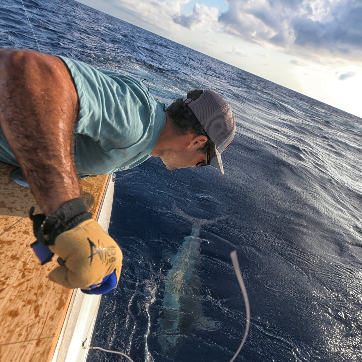 Blue Wire Max Salt Water Fishing Glove / AFTCO Quality