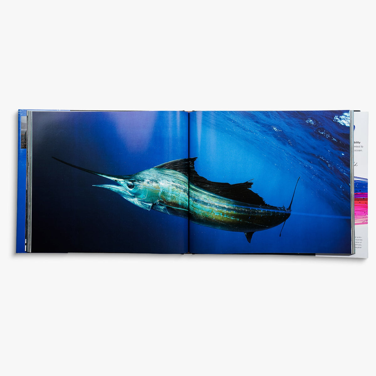 Book Only Any Fish, Any Water Book Photographed by Jason Arnold / AFTCO Best Price