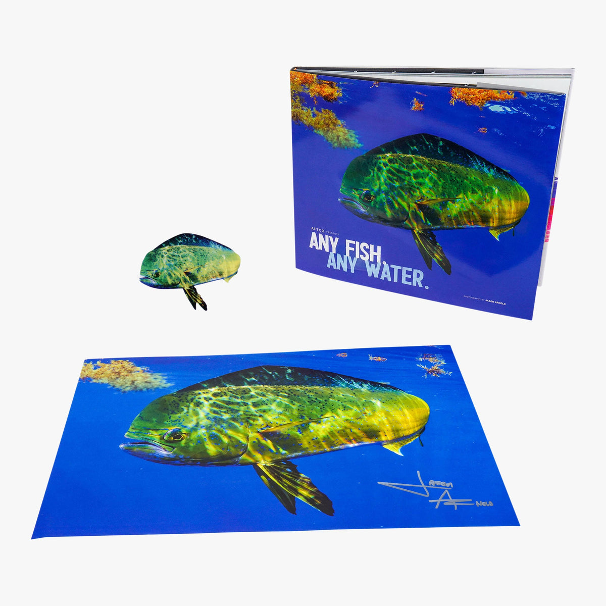Book Only Any Fish, Any Water Book Photographed by Jason Arnold / AFTCO Best Price