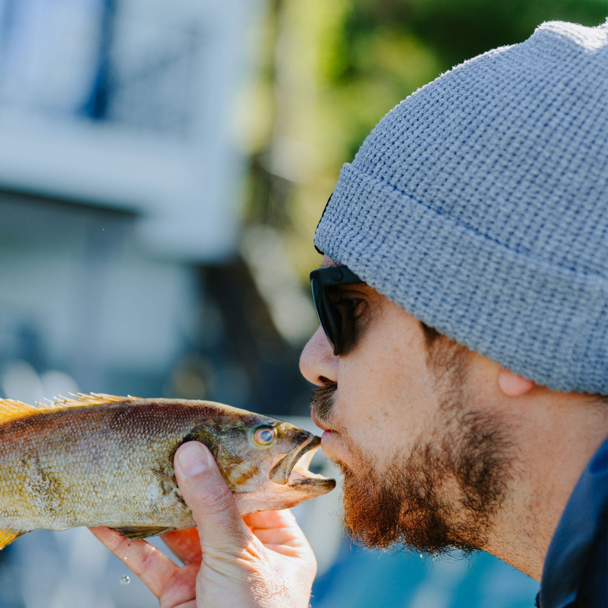 Navy Chevron Waffle Fishing Beanie / AFTCO Latest